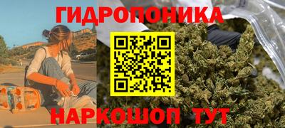 ГАЛЛЮЦИНОГЕННЫЕ ГРИБЫ Заводоуковск