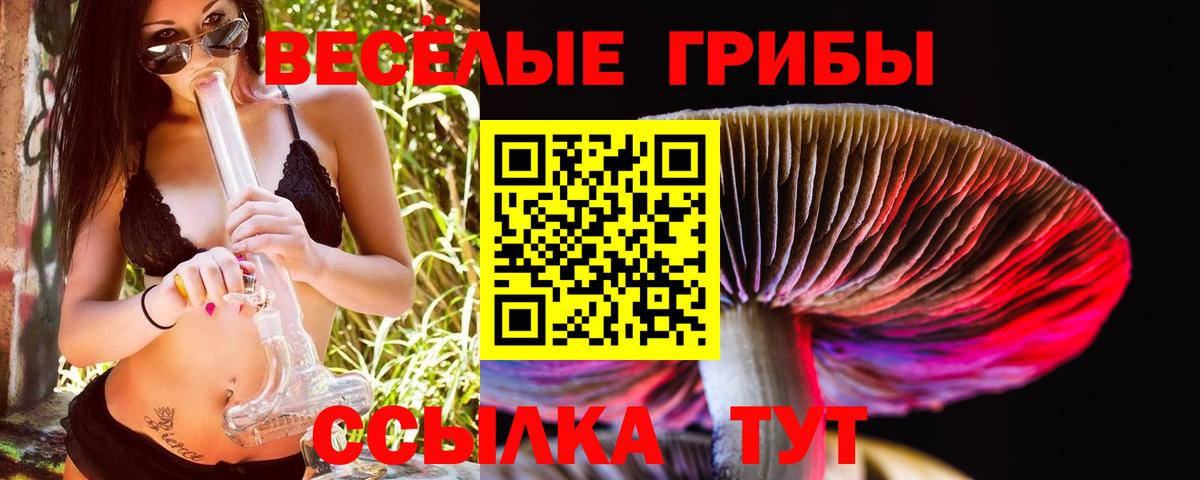 Галлюциногенные грибы мицелий Лениногорск